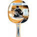 Купити Ракетка для настільного тенісу  Donic Ovtcharov 300 FSC у Києві - фото №1